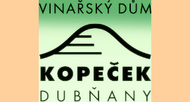 logo vinask dm Kopeek